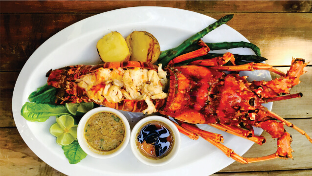 Caribbean lobster