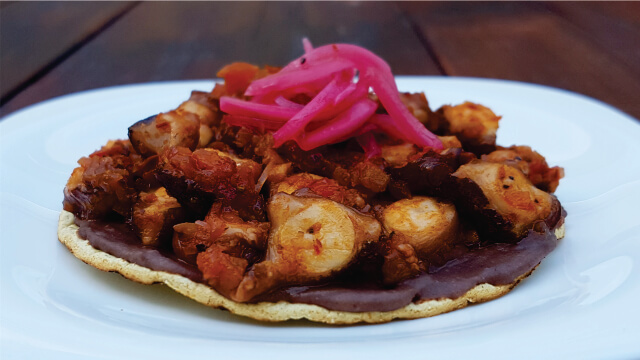 Octopus tostada